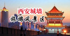 俄罗斯大鸡八肏黑大逼尖叫抽搐中国陕西-西安城墙旅游风景区